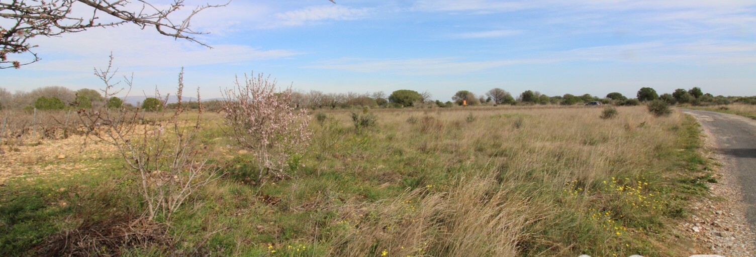 Terrain  1930 m² à vendre à Peyrestortes (66600)