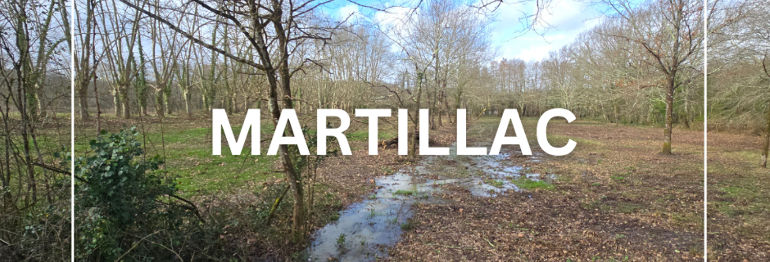 Terrain  850 m² à vendre à Martillac (33650)