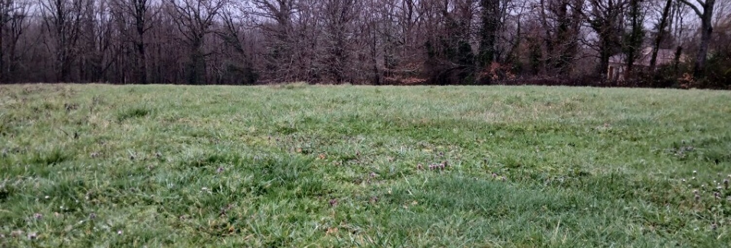 Terrain  4000 m² à vendre à Ribérac (24600)