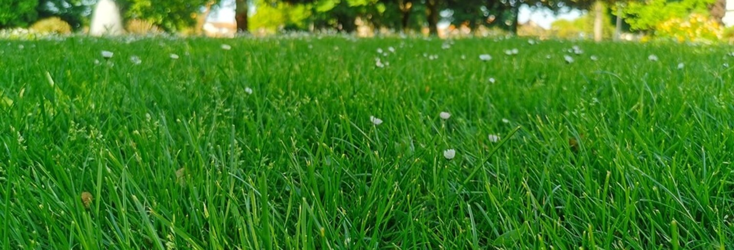 Terrain  572 m² à vendre à Arès (33740)