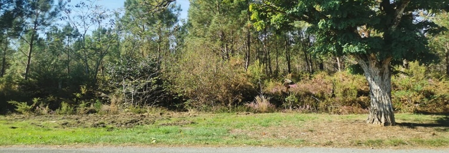 Terrain  500 m² à vendre à Le Porge (33680)