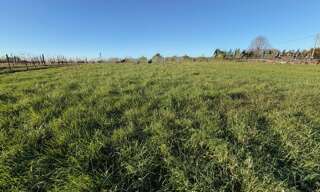 Terrain  561 m² à vendre à Capian (33550)