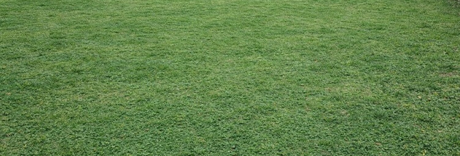 Terrain  913 m² à vendre à Luneray (76810)