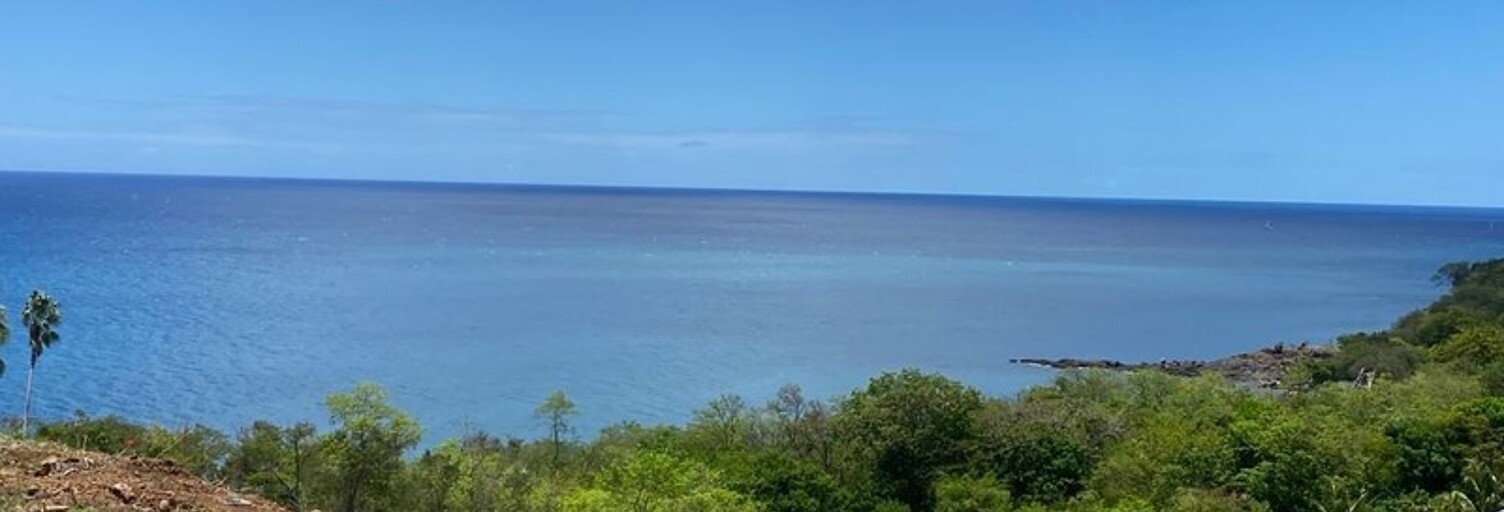 Terrain  1039 m² à vendre à Vieux-Habitants (97119)