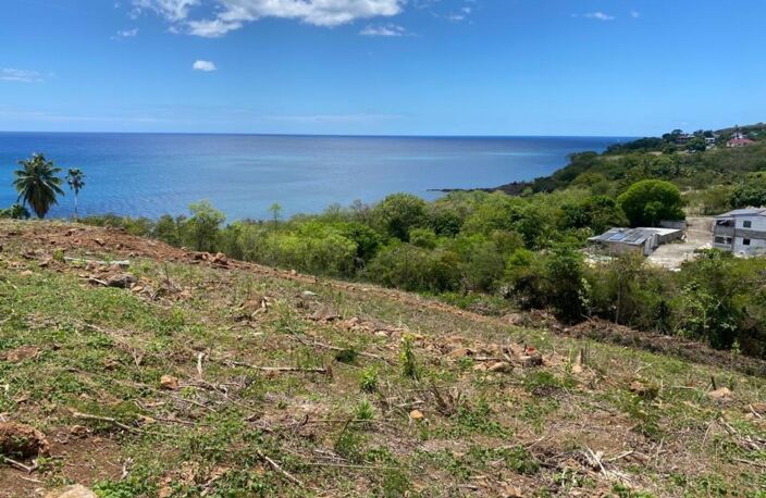 Terrain à vendre de 1 039,00 m² VIEUX HABITANTS (971) — photo 2