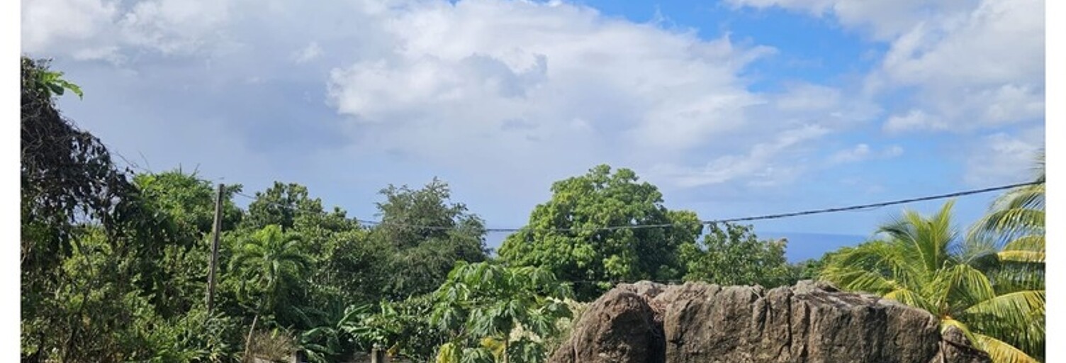 Terrain  1041 m² à vendre à Pointe-Noire (97116)