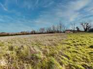 TERRAIN PLAT VIABILISÉ – 1 470 m² – MIRANDE — photo 2