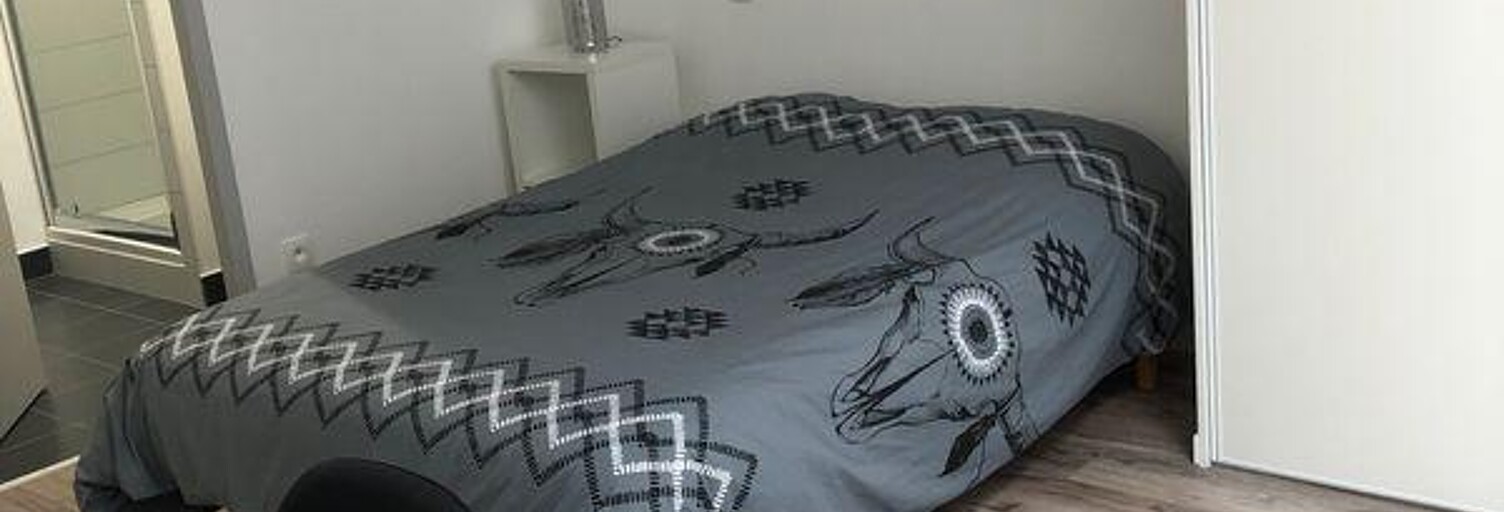 Appartement 1 Pièce 20 m² à louer à Nancy (54000)