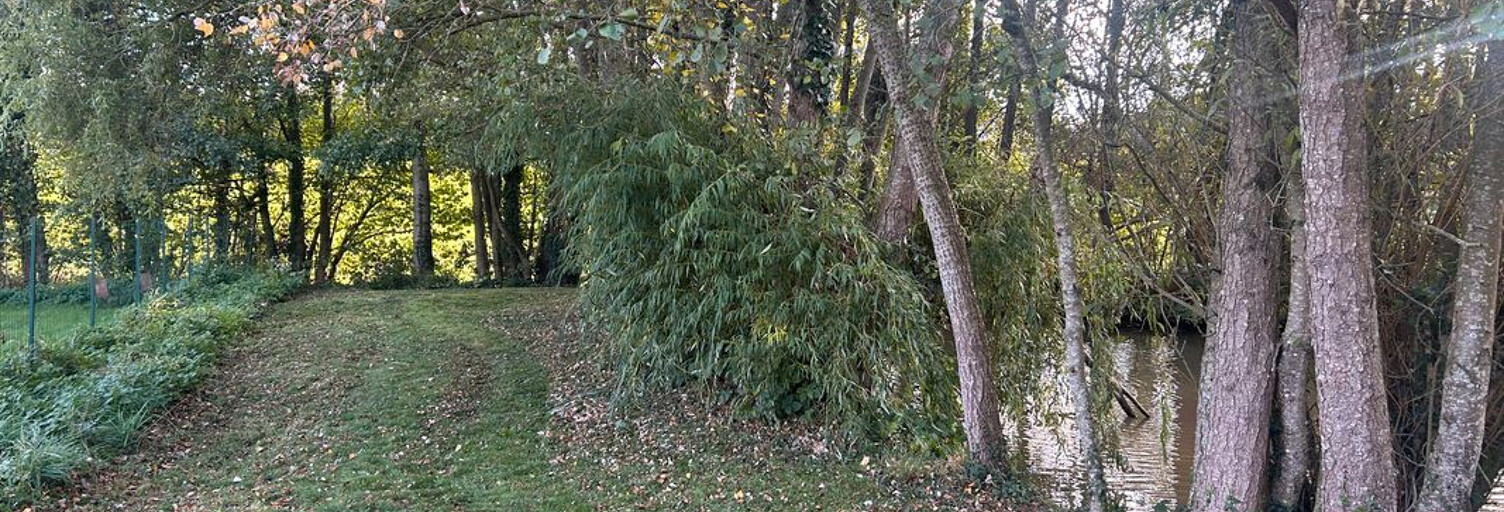 Commerce  2967 m² à vendre à Bouchamps-lès-Craon (53800)