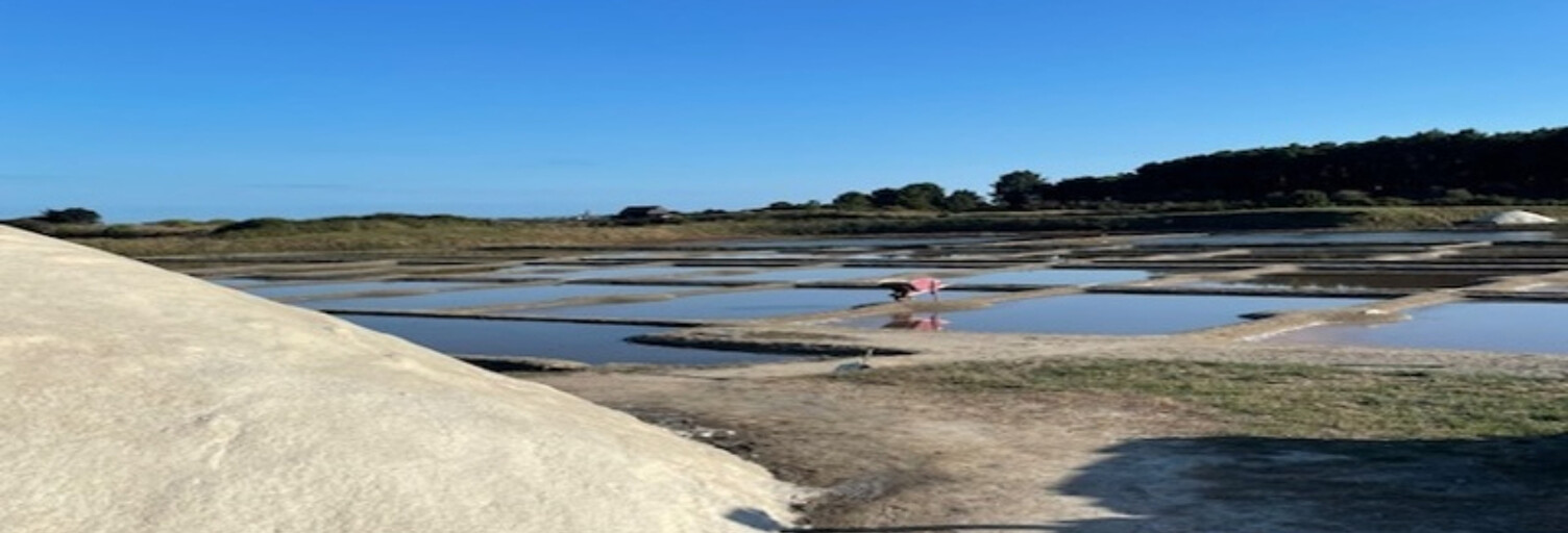 Maison 7 Pièces 181 m² à vendre à Guérande (44350)