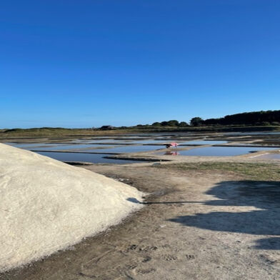 Maison 7 pièces 754560 €