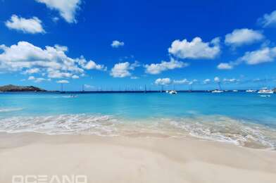 Appartement 3 pièces 539000 €