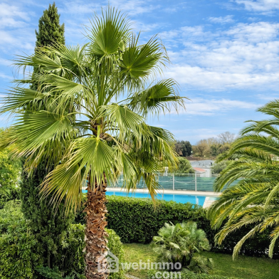 Appartement 1 pièces 95000 €