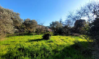 Terrain  1189 m² à vendre à Saint-Paul-Trois-Châteaux (26130)