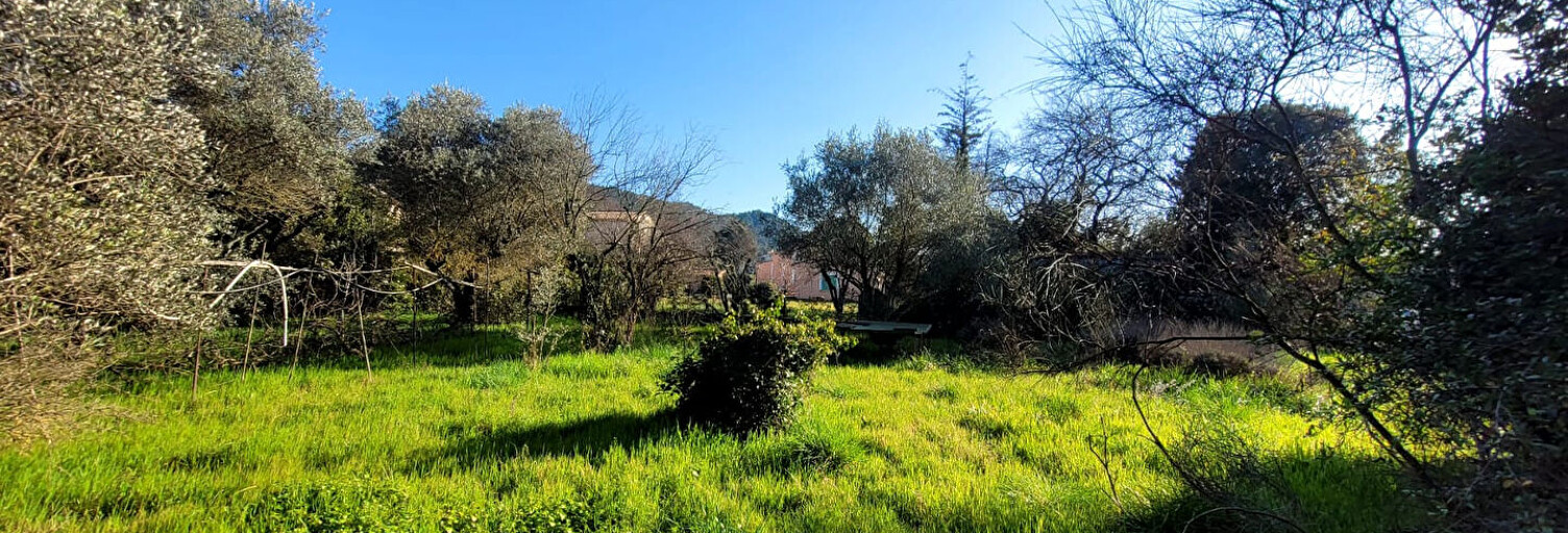 Terrain  1189 m² à vendre à Saint-Paul-Trois-Châteaux (26130)