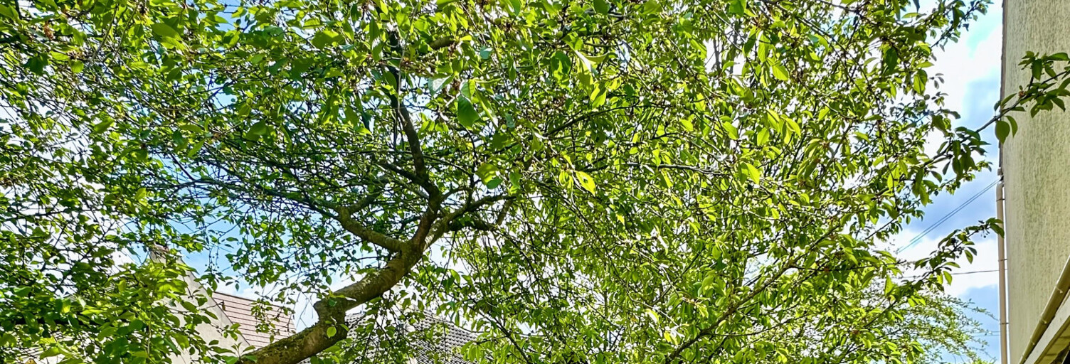 Appartement 3 Pièces 68 m² à vendre à Noisy-le-Grand (93160)