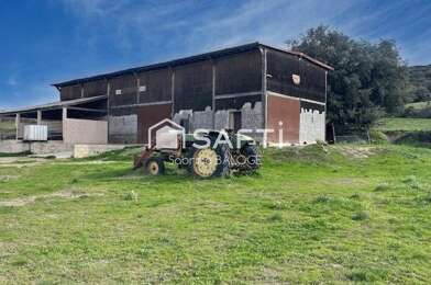 Terrain  319150 €