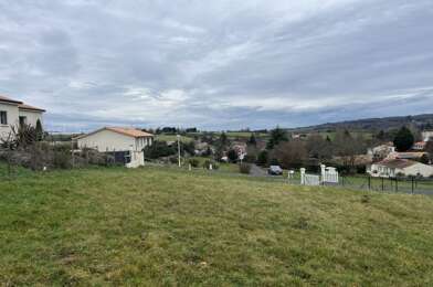 Terrain  29000 €