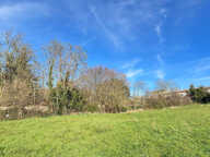5503 m2 - Terrain Constructible - 42590 NEULISE - — photo 3