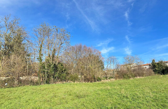 5503 m2 - Terrain Constructible - 42590 NEULISE - — photo 3