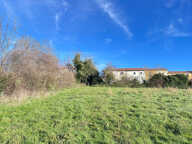 5503 m2 - Terrain Constructible - 42590 NEULISE - — photo 4