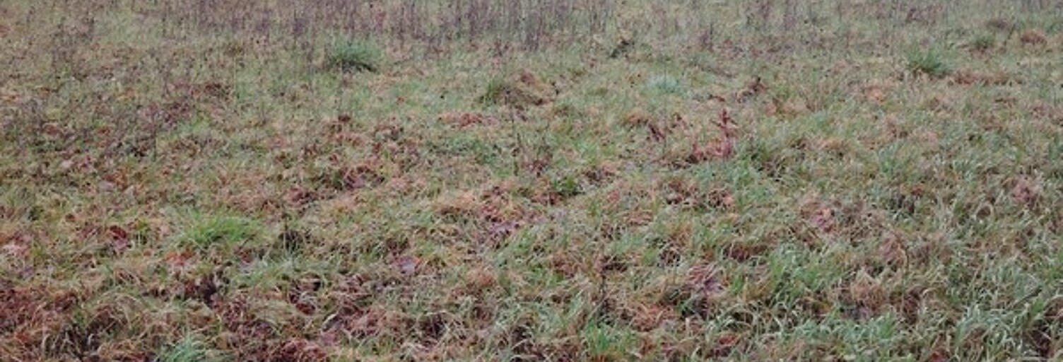 Terrain  1425 m² à vendre à Neuville-de-Poitou (86170)