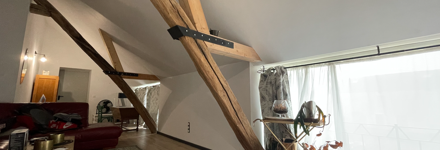 Maison 10 Pièces 220 m² à vendre à Arthonnay (89740)