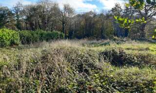 Terrain  1403 m² à vendre à Landudec (29710)