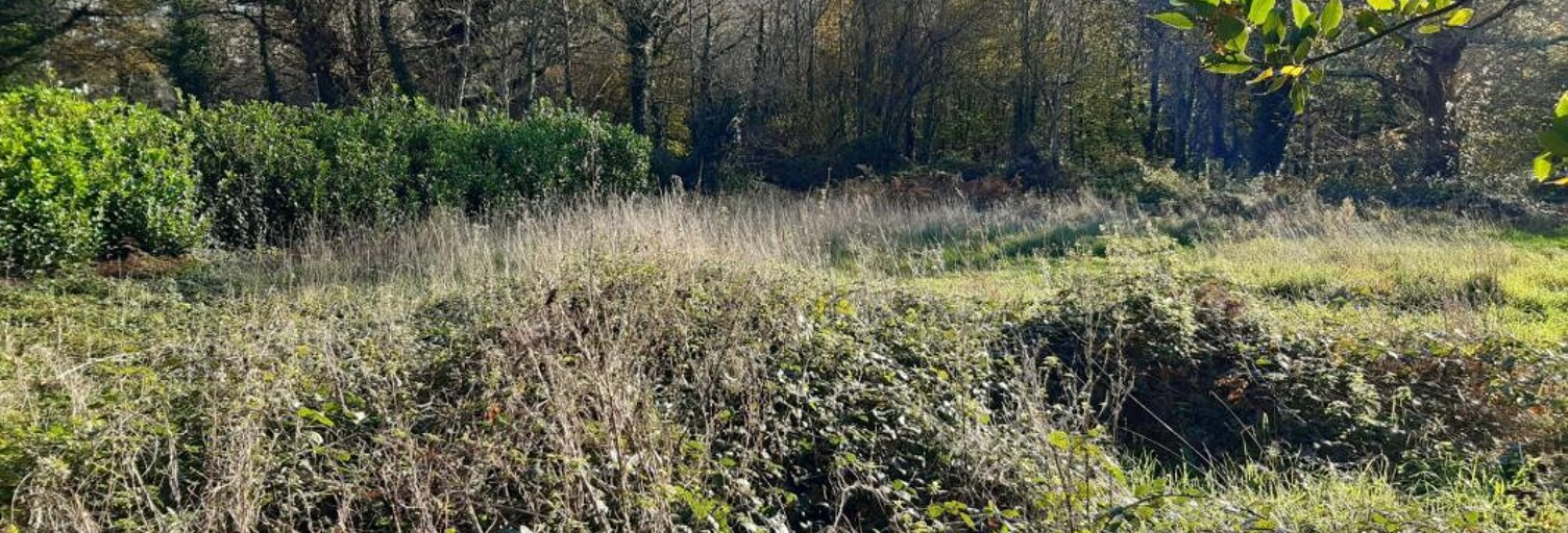 Terrain  1403 m² à vendre à Landudec (29710)