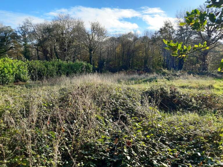 Terrain constructiblle d'env. 1.400 m2 au calme — photo 1