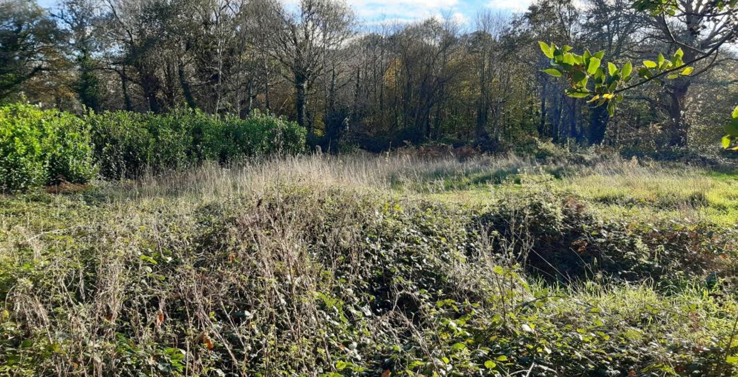 Terrain constructiblle d'env. 1.400 m2 au calme — photo 1
