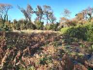 Terrain constructiblle d'env. 1.400 m2 au calme — photo 2