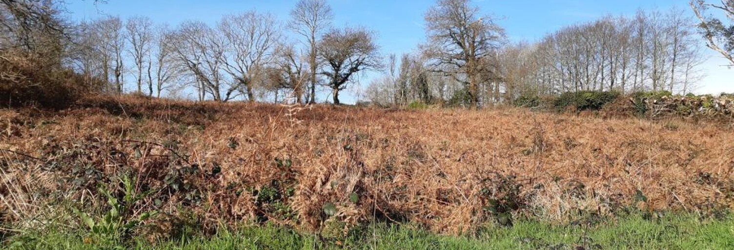 Terrain  2492 m² à vendre à Landudec (29710)