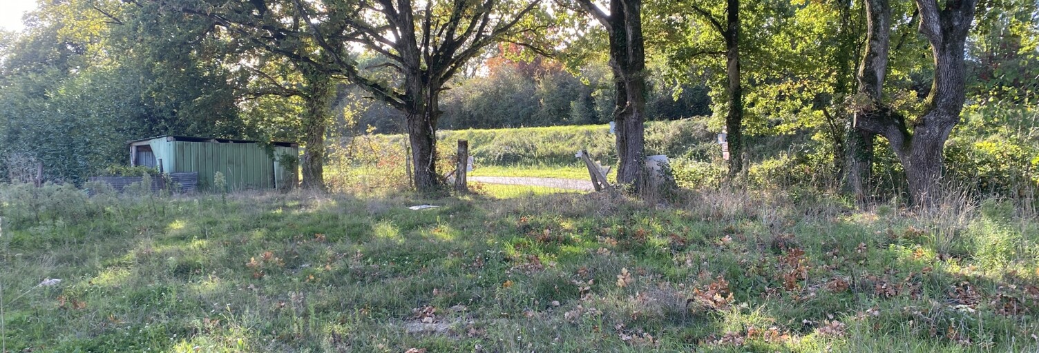 Terrain  519 m² à vendre à Nozay (44170)