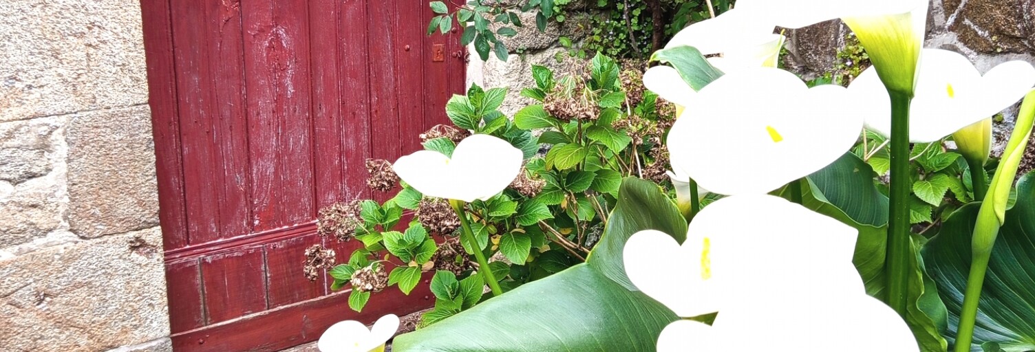 Photo N° 2