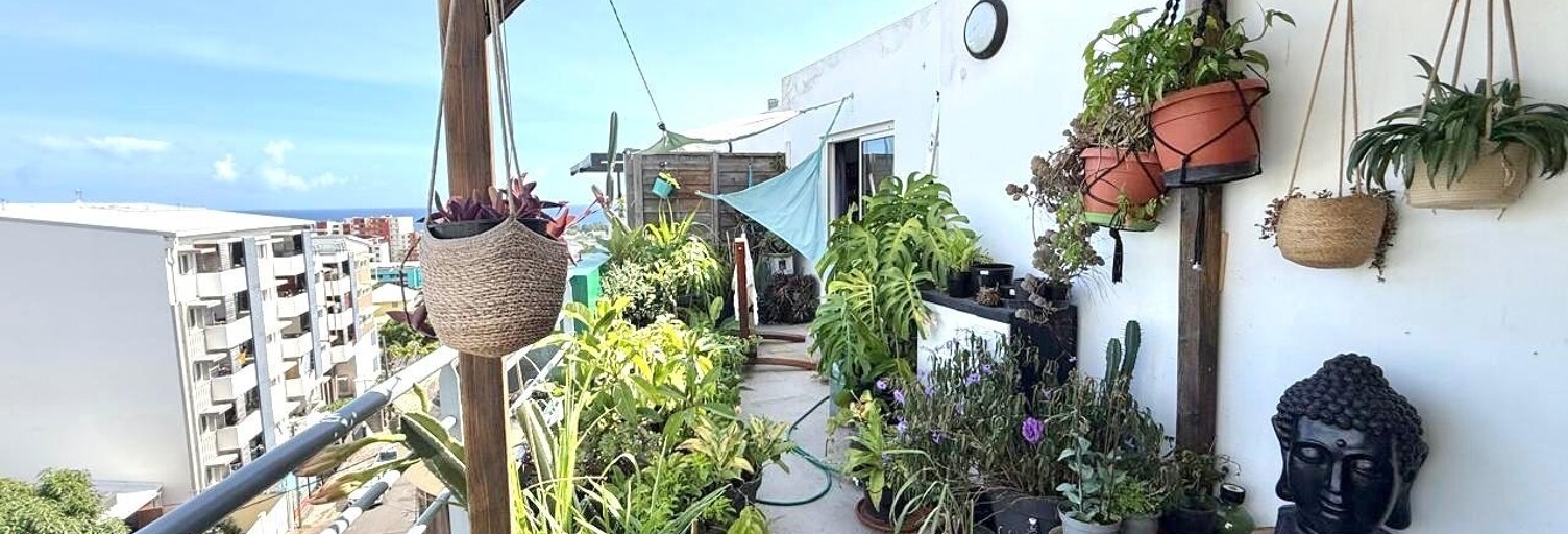 Appartement 3 Pièces 66 m² à vendre à Saint-Denis (97490)