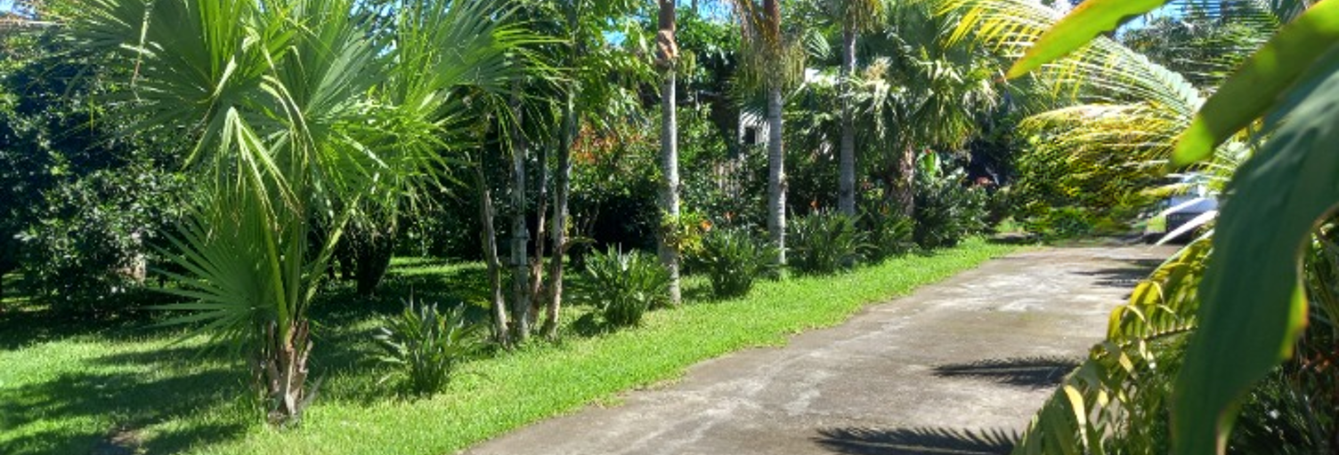 Maison 7 Pièces 170 m² à vendre à Le Tampon (97430)