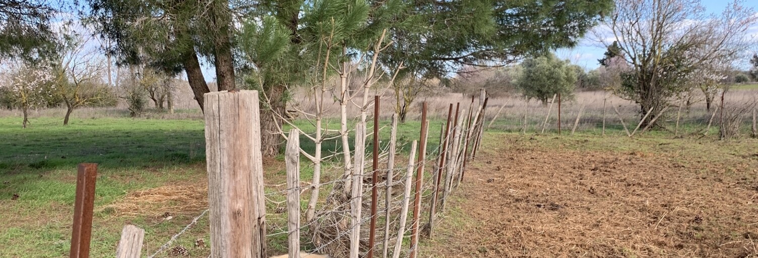 Terrain  3863 m² à vendre à Aimargues (30470)