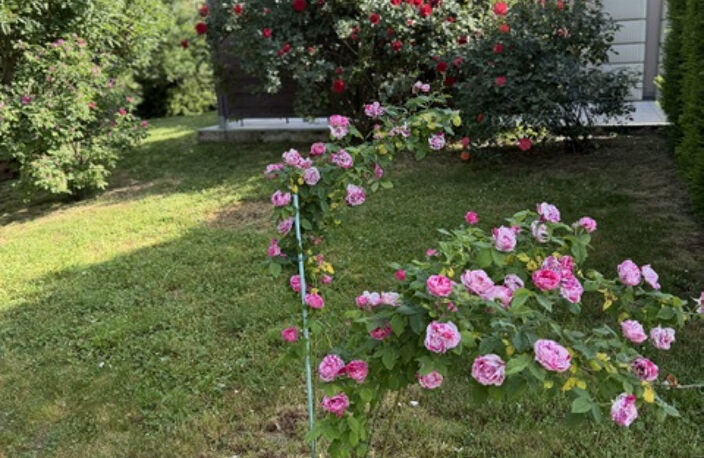 Belle maison proche Piennes — photo 5