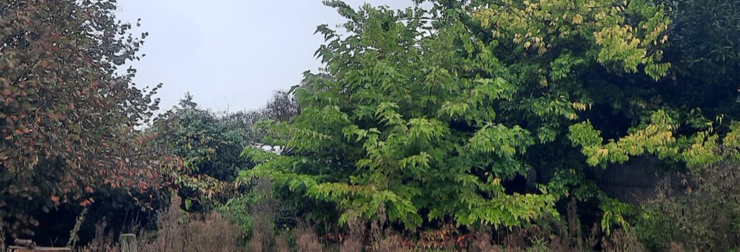 Terrain  700 m² à vendre à Bordeaux (33000)