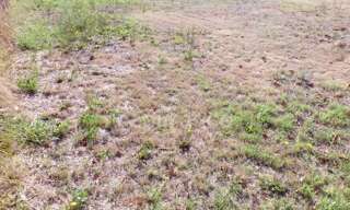 Terrain  730 m² à vendre à Le Teich (33470)