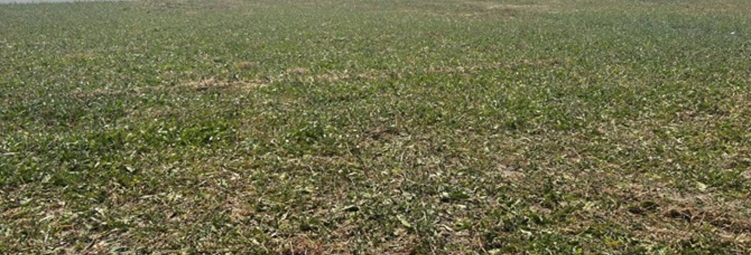 Terrain  351 m² à vendre à Mornac-sur-Seudre (17113)