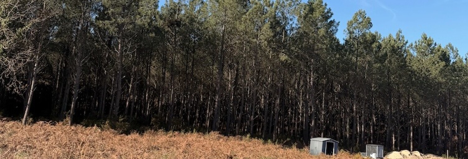 Terrain  850 m² à vendre à Vielle-Saint-Girons (40560)