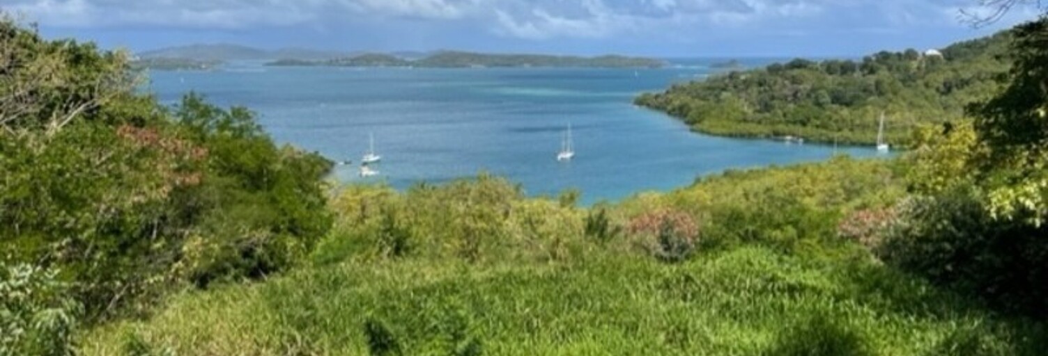 Terrain  1300 m² à vendre à Le Robert (97231)