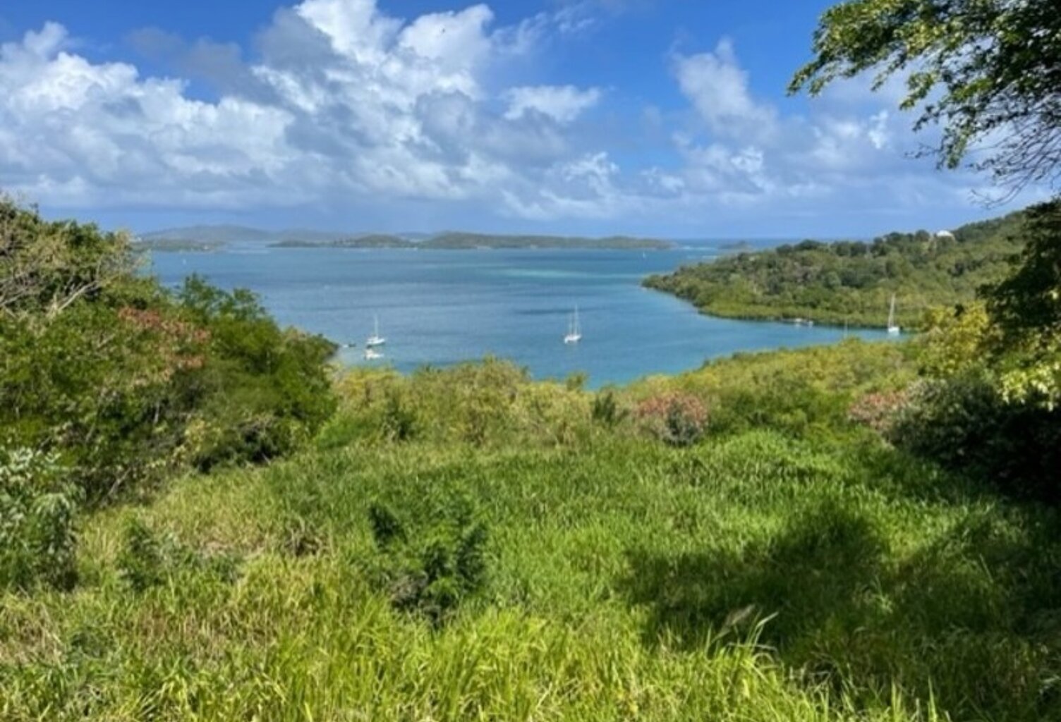 Dpt Martinique (972), à vendre LE ROBERT terrain de 1300 m² vue mer exceptionnelle !!!!! — photo 1