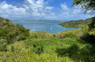 Dpt Martinique (972), à vendre LE ROBERT terrain de 1300 m² vue mer exceptionnelle !!!!! — photo du bien