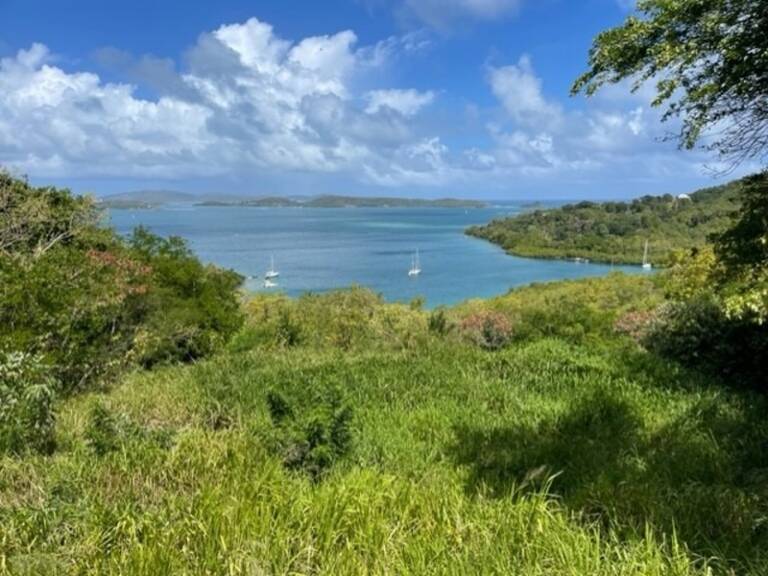 Dpt Martinique (972), à vendre LE ROBERT terrain de 1300 m² vue mer exceptionnelle !!!!! — photo 1