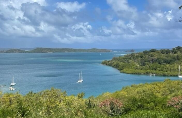 Dpt Martinique (972), à vendre LE ROBERT terrain de 1300 m² vue mer exceptionnelle !!!!! — photo 2