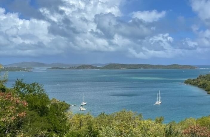 Dpt Martinique (972), à vendre LE ROBERT terrain de 1300 m² vue mer exceptionnelle !!!!! — photo 3
