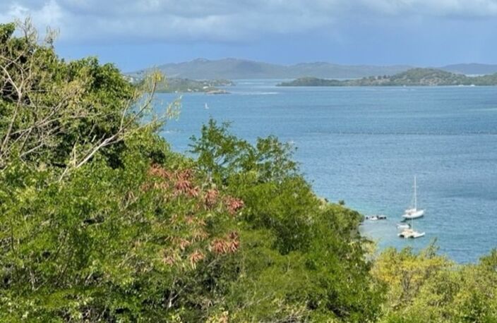 Dpt Martinique (972), à vendre LE ROBERT terrain de 1300 m² vue mer exceptionnelle !!!!! — photo 5